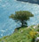 Mediterraneo